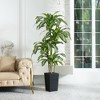 6ft UV & Sunproof Artificial Dracaena Tree for Indoor/Outdoor - Faux Silk Plant in Tall Planter, Tall Faux Tree for Home & Garden Decor - 3 of 4