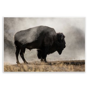 Stupell Industries Powerful Bison Grazing Foggy Rural Pasture Photography Wall Plaque Art, 19" x 13" - 1 of 4