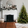 6' Unlit Kincaid Spruce Artificial Christmas Tree Clear Lights - National Tree Company - 2 of 4