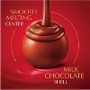 Lindt Lindor Milk Chocolate Candy Truffles - 6 oz. - image 3 of 4