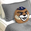 NCAA Arizona Wildcats 16"x16" Plushie Mascot Pillow: Sports Novelty Throw Pillow - 2 of 3