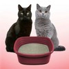 Arm & Hammer Clump & Seal Multi-Cat Litter  - image 4 of 4
