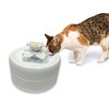 Pioneer Pet Magnolia Drinking Fountain -  55 oz, White - 2 of 4