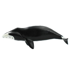Collectible Wildlife Gifts | Bowhead Whale, Rubber Animal, Realistic Toy Figure, Model,   Educational, Gift,       3 1/2"      CH409 BB108 - 1 of 4