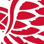 detroit red wings