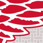 detroit red wings