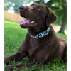 Country Brook Petz Martingale Dog Collar - Animal Prints Collection - 3 of 4