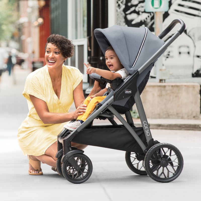 Chicco Corso Modular Travel System - Silverspring, 4 of 15