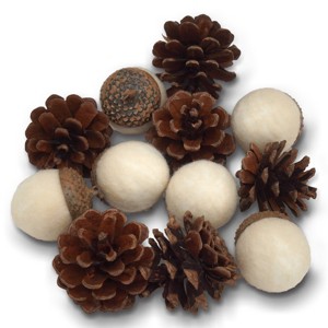 Filler Acorns and Pinecones - Bullseye's Playground™ - 1 of 3