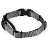 Country Brook Petz Heavyduty Nylon Martingale with Premium Buckle - 2 of 4