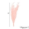 Uniquewise Preserved Real Floral Stems Chic Vase Fillers & Accents for Bouquets Centerpieces - 3 of 4