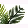 Gulches 24in Artificial Palm Tree in Beige Woven Basket Green 11 Real Touch Leaves Indoor Faux Table Floor Plant No Maintenance Tropical Decor - 4 of 4