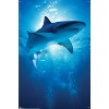 Trends International Shark - Depths Unframed Wall Poster Prints - 4 of 4