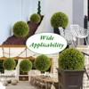 2PCS Artificial Plant Cedar Topiary Balls ,Topiary Ball Garden Spheres Decorative Balls for Outdoor Patio Garden,Indoor,Wedding,Festival Decoration - 2 of 4