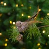 Northlight Sequin Left-Facing Bird Clip-on Christmas Ornament - 5.5" - Champagne Gold - 2 of 4