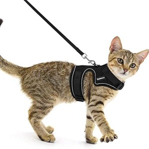 rabbitgoo Cat Harness and Leash for Walking, Escape-Proof No Choke Reflective Vest Harnesses Kitty Safety Outdoor Activity, L - 1 of 1