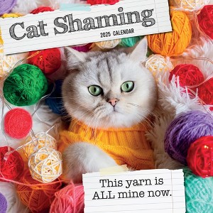 The Gifted Stationery 2025 Square Wall Calendar, Cat Shaming, 16-Month Humor Theme with 180 Reminder Stickers (12 x 12 In) - 1 of 4