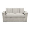 Convertible Soft Cushion Sofa Pull Bed ,for Two People to Sit On - 3 of 4