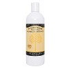 Plantlife Vanilla Orange Foam Soap Value Set – Gentle, Moisturizing, Plant-Based for All Skin Types – Hand & Body Wash – 8.5-16oz - 3 of 3