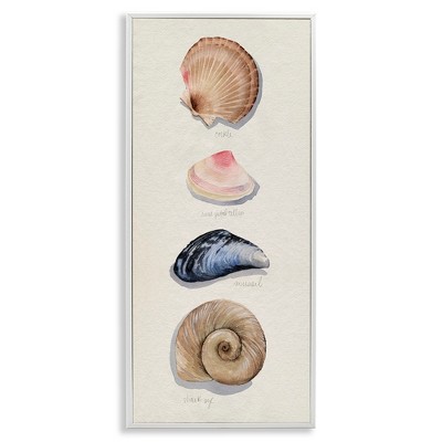 Stupell Industries Traditional Nautical Sea Shells, 10" x 24"