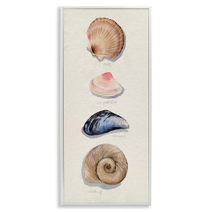 Stupell Industries Traditional Nautical Sea Shells, 10" x 24" - 1 of 4