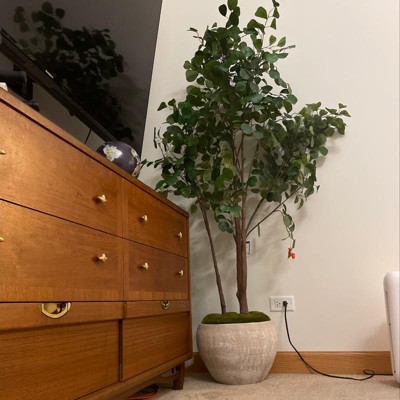 Guest review image 1 of 4, zoom in