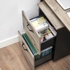 2-Drawer File Cabinet, Filing Cabinet for Home Office, Small Rolling File Cabinet, Printer Stand, Hanging File Folders, Modern Style - 3 of 4