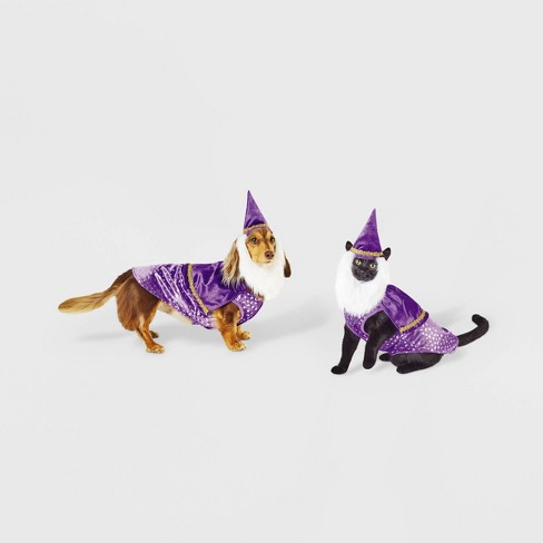 Cat costume hotsell for dog