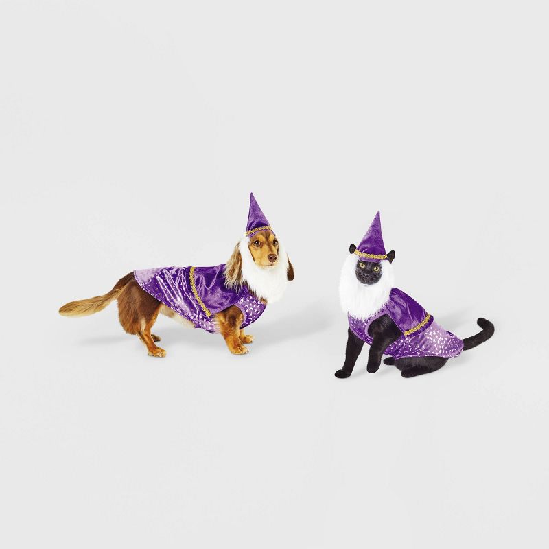 Wizard Dog and Cat Costume - Hyde & EEK! Boutique™, 1 of 11