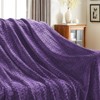 Inhand Flannel Throw Blanket, 50”x60” Super Soft Fuzzy Blanket for Couch Sofa Bed Office, Cozy Plush Lightweight Blanket Throw Size - 3 of 4