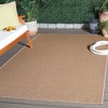 Atrium Sisal ATM103 Power Loomed Indoor/Outdoor Rugs - Safavieh - 2 of 4