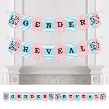 Big Dot of Happiness Baby Gender Reveal - Team Boy or Girl Party Bunting Banner - Party Decorations - Gender Reveal