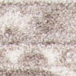 tan/beige