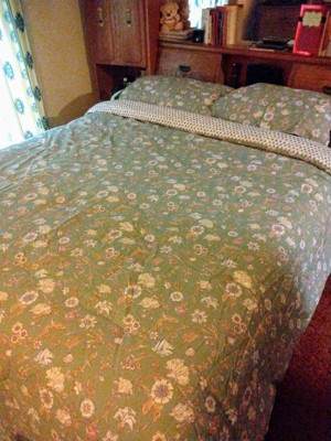 2pc Twin/twin Extra Long Boho Reversible Printed Comforter & Sham Set Green  Floral - Threshold™ : Target