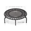 JumpSport 220 In Home Cardio Fitness Rebounder - Mini Trampoline with Handle Bar Accessory, Premium Bungees and Workout DVD - 3 of 4