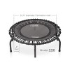 JumpSport 220 in Home Cardio Fitness Rebounder - Mini Trampoline with  Handle Bar Accessory, Premium Bungees and Workout DVD