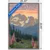 Trends International Lantern Press - Yellowstone Spring Flowers Framed Wall Poster Prints - 3 of 4