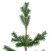 Northlight Real Touch™️ Ponderosa Pine Medium Artificial Christmas Tree with Jute Base – Unlit - 3' - 4 of 4