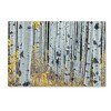 Trademark Fine Art -Pierre Leclerc 'Forest of Aspens' Canvas Art - 2 of 3