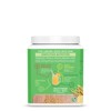 Classic Organic Protein, Plant-Based Protein, Vanilla Flavor, Sunwarrior, 375gm - image 3 of 4