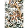 Gallerie II Abaca Sea Star Ornament - 3 of 3