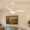 Wanze of Ocean 42 in. 3-Blade Smart Downrod Mount Standard Ceiling Fan with Dimmable LED Light, Remote Control, Reversible DC Motor - 2 of 4