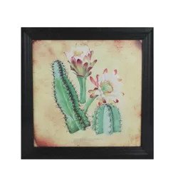 Northlight 12"  Black and Green Cactus and other Desert Plants Surrounded by Black Photo Frame