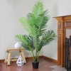 Northlight 5.25' Potted Artificial Green Areca Palm Tree - 4 of 4