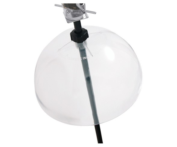 Droll Yankees Squirrel Guard-Pole Mount - Black