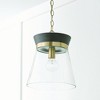 Capital Lighting Finn 1 - Light Pendant in  Black Stain/Matte Brass - 3 of 3