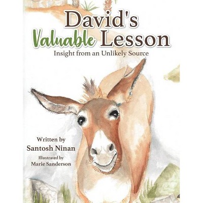 David's Valuable Lesson - by  Santosh Ninan (Paperback)