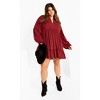Women's Plus Size Alinda Mini Dress - shiraz | CITY CHIC - 2 of 4