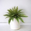 Floral Home 28" Wide Boston Fern Plant with 27 Silk Fronds - 12-Piece - 2 of 4