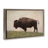 Stupell Industries Serene Buffalo on Country Hill Floating Frame Canvas Art - 2 of 4